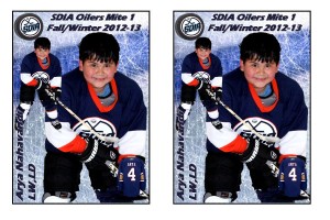 2012-13HockeyTradingCardAryaN_4x6_2
