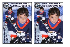 2012-13HockeyTradingCardLoganH_4x6